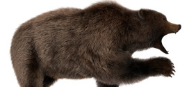 Grizzly fur preset available!