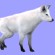 Arctic fox: furred!