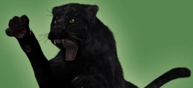 Black Panthers for DAZ Big Cat 2