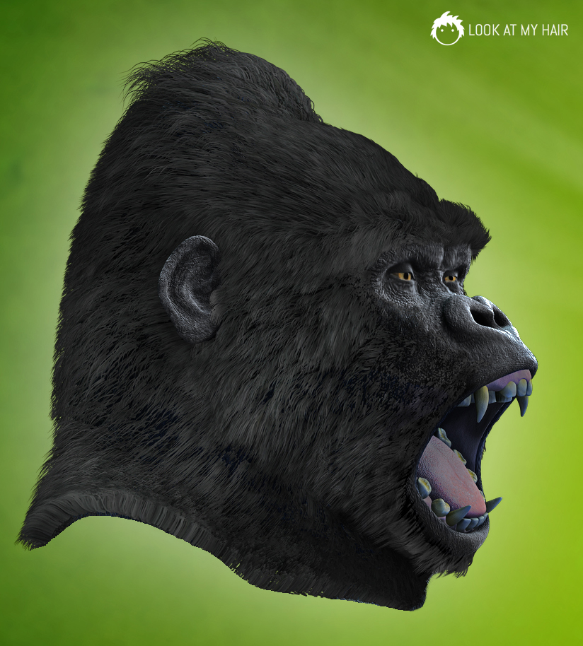 DAZ Gorilla: let's give him some fur!