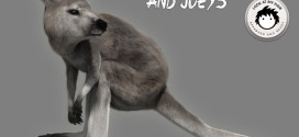 Kangaroos and Joeys released!